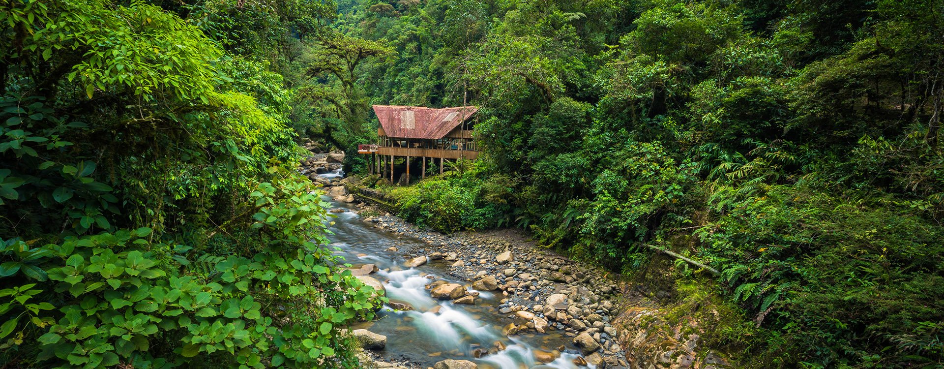 A jungle lodge by a river in Manu National Park, Peru