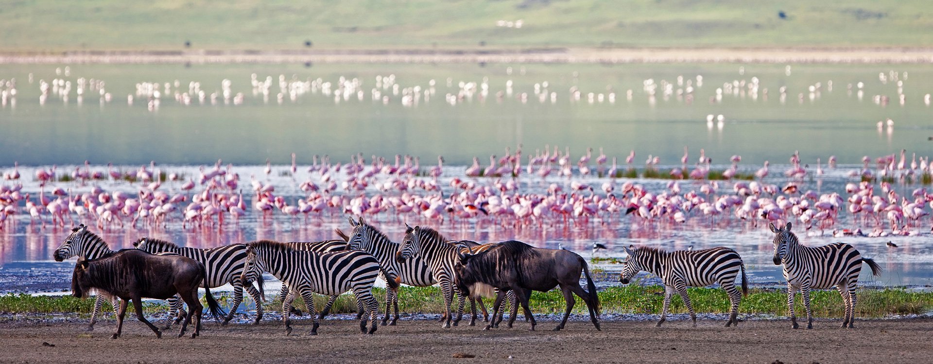 Tanzania_Lake Manyara