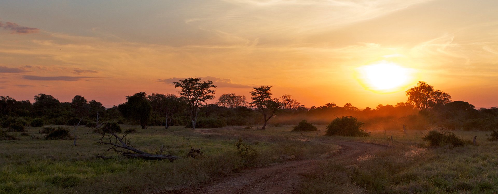 Zambia_Luangwa  NP_Sunset