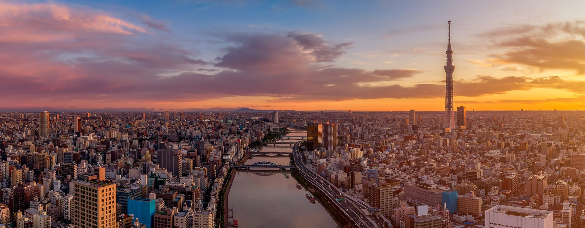 Panoramic Dawn view of Tokyo city