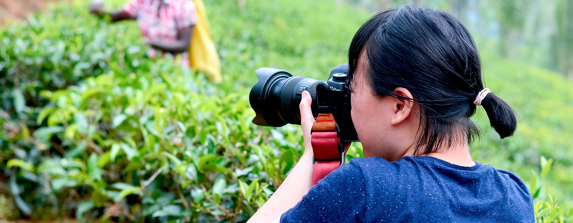 Female photographer taking shots of tea pickers, Sri Lanka