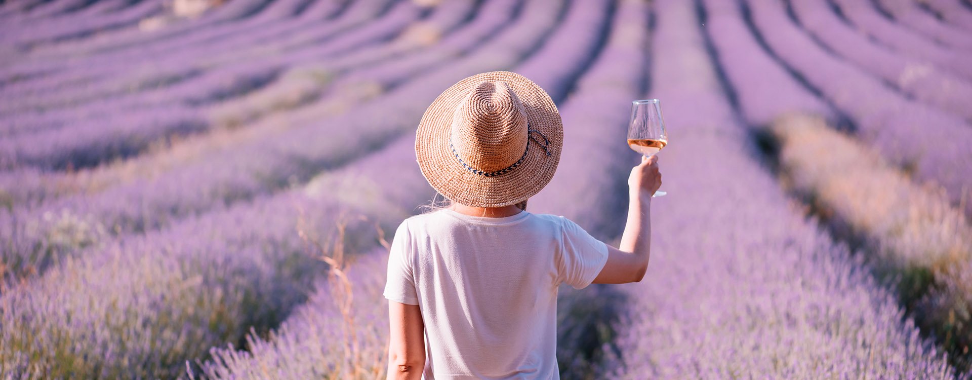 Young women drink rose wine in sunset lavender field