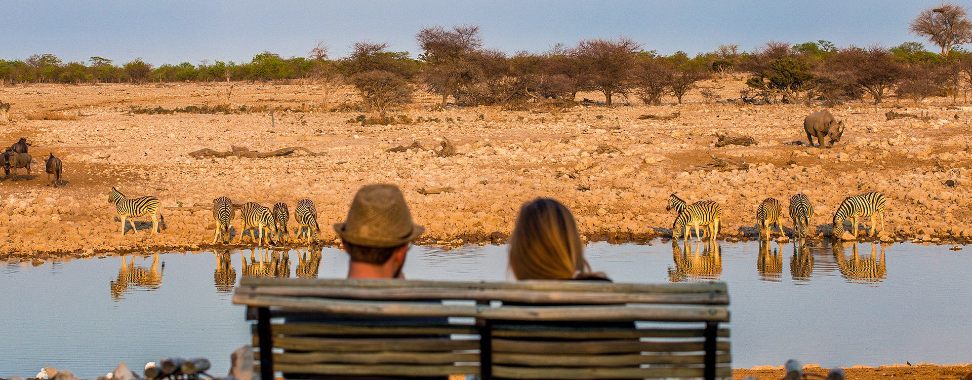 Couple sat looking over waterhole with zebra in Africa
