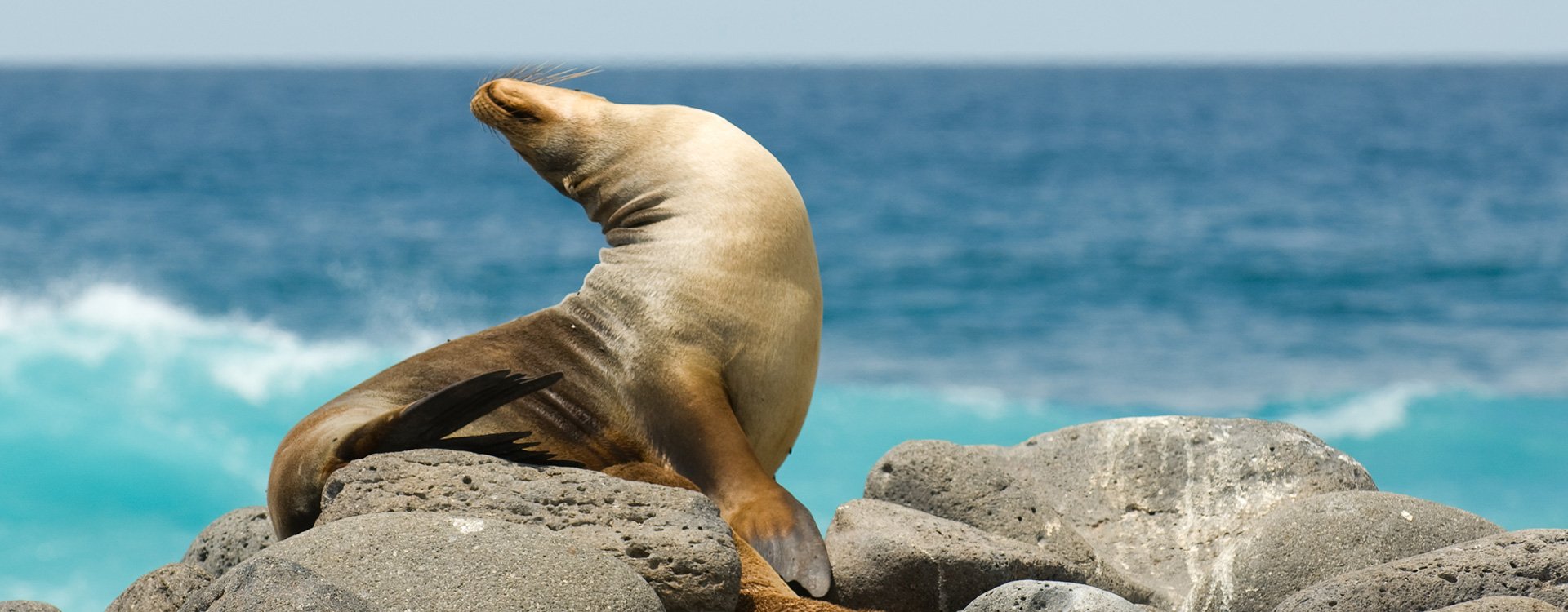 Southern Ecuador & the Galapagos