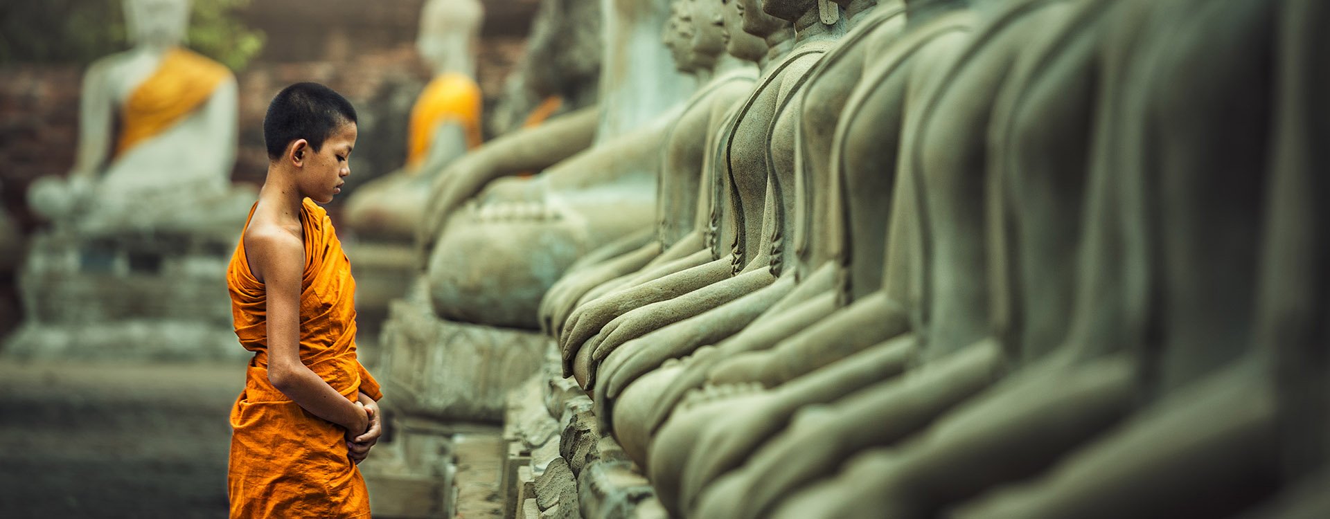 Novices monk in orange robe vipassana meditation at front of Buddha statues, Laos