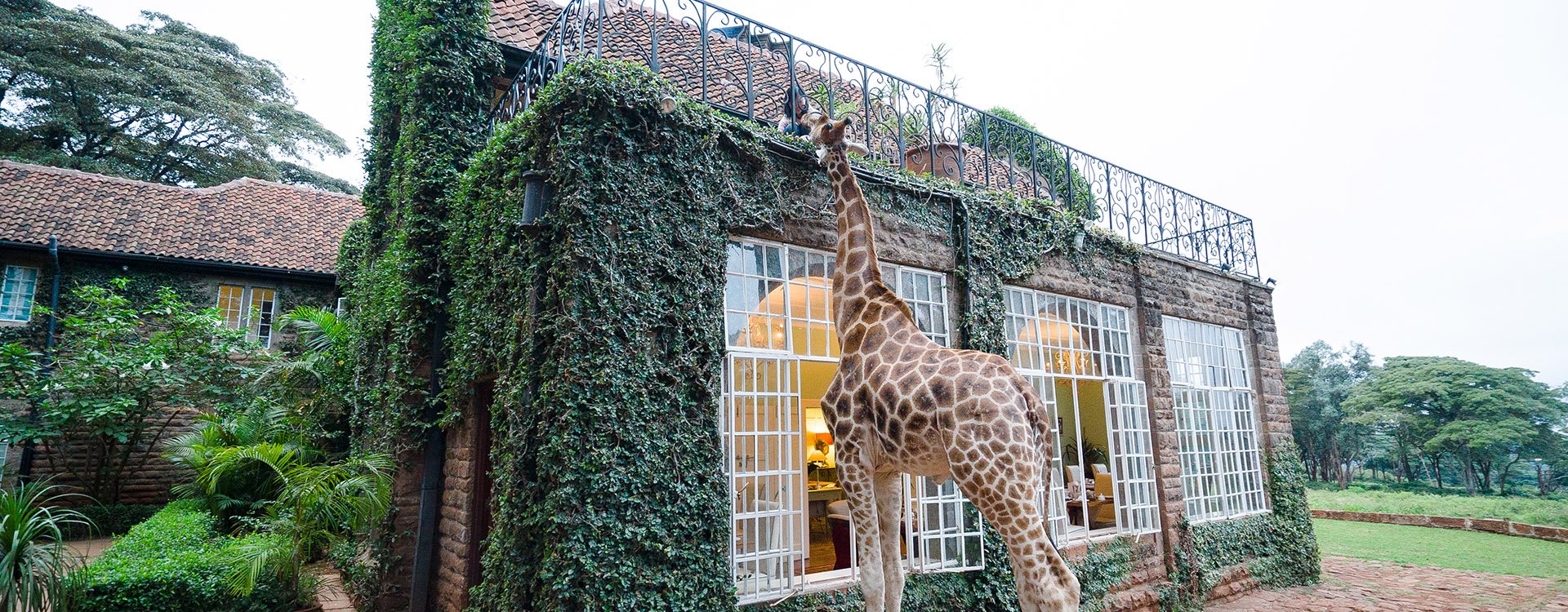 Giraffe Manor at Nairobi Kenya