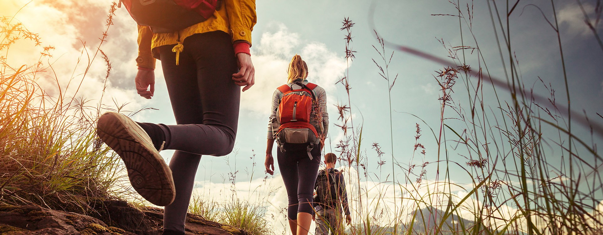 Hikers with backpacks walking in mountains at sunny day