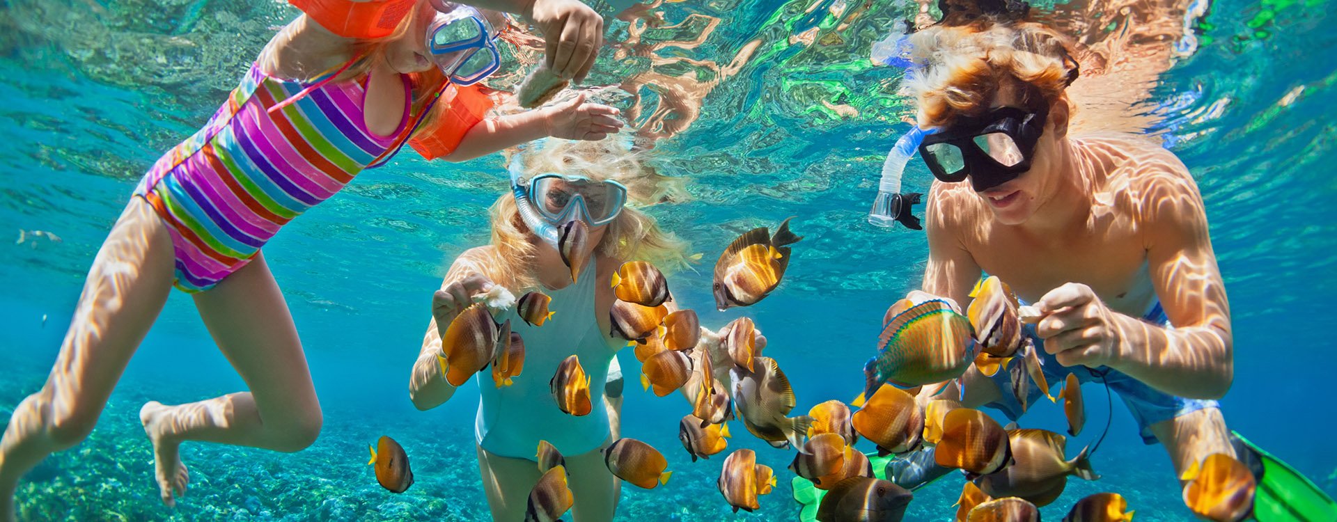 Happy family - mask dive underwater with tropical fishes in coral reef sea pool. summer beach holiday with kids