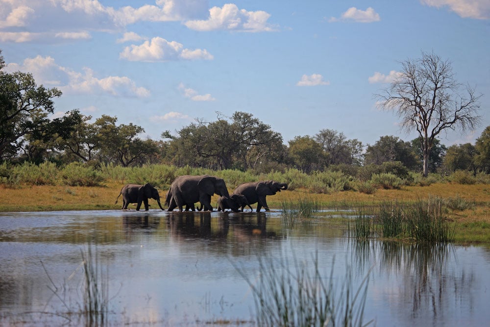 Best Safari Holidays in Southern Africa