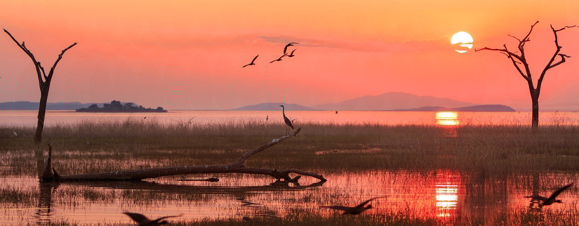 Panorama of a sunset over Lake Kariba. Matusadona National Park, Zimbabwe
