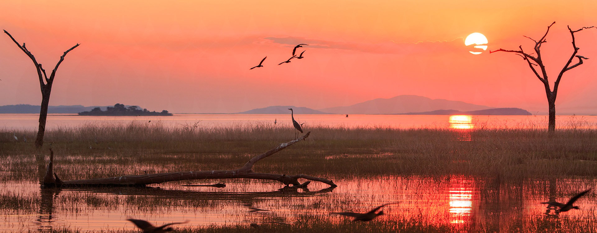 Panorama of a sunset over Lake Kariba. Matusadona National Park, Zimbabwe