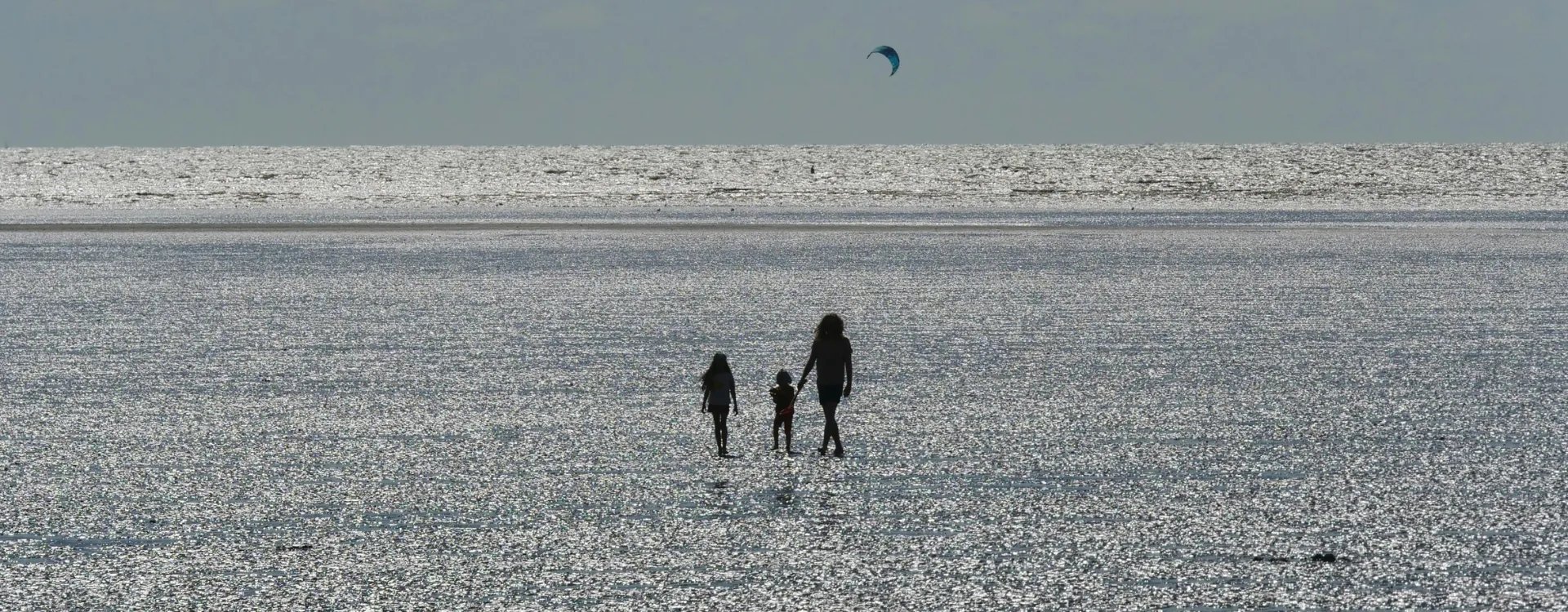 Family walking across a glistening beach at low tide