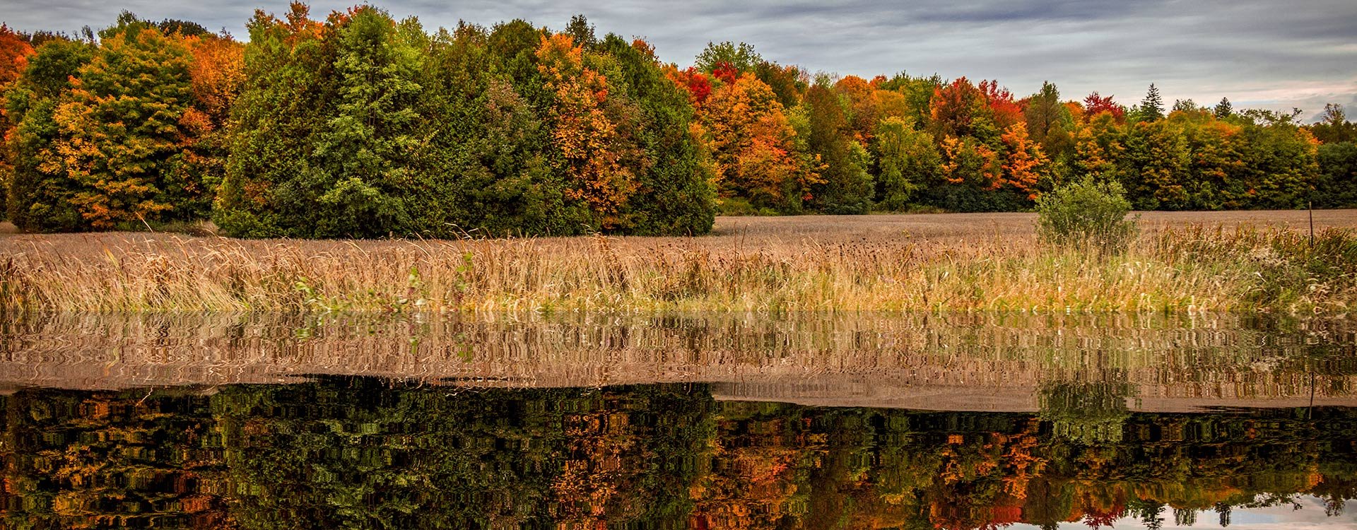 Ontario_Autumn