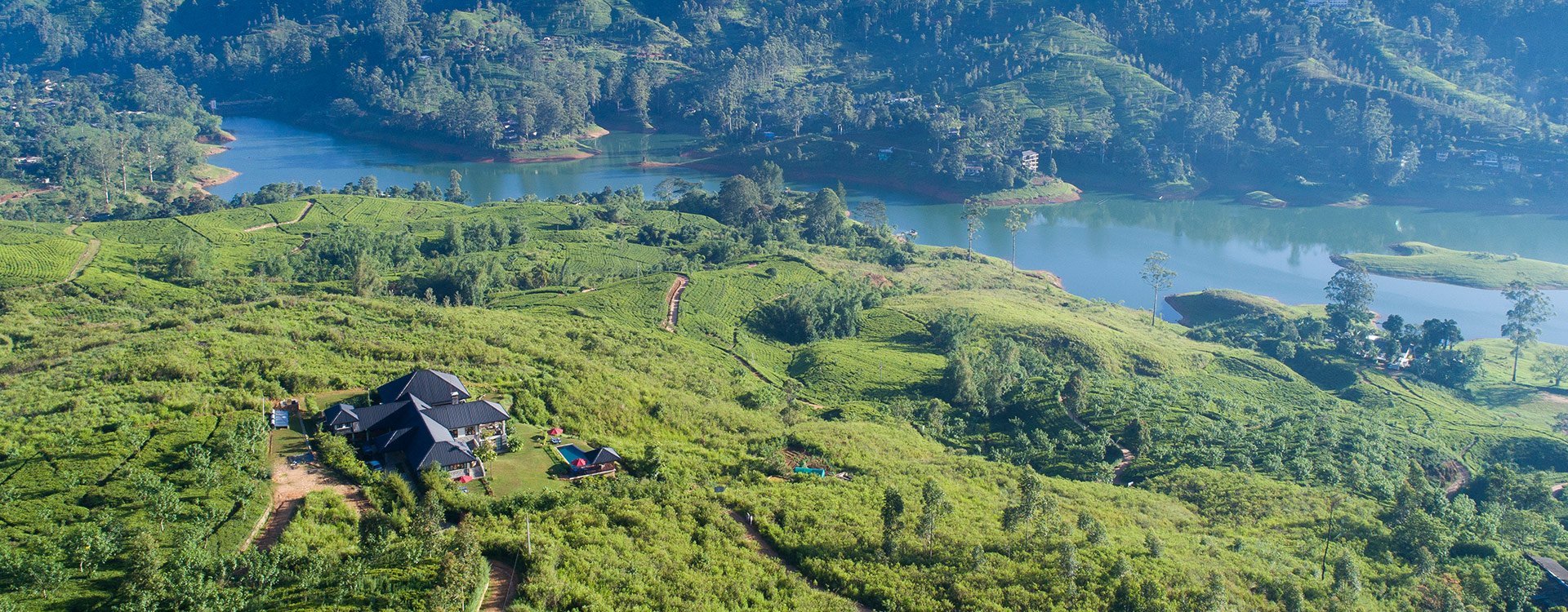 Camellia Hills_Aerial View