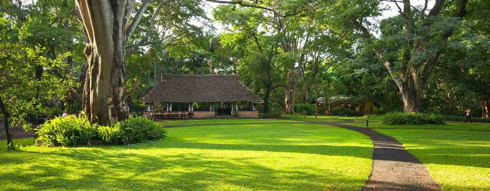 Pathways and bistro area in Rivertrees Inn