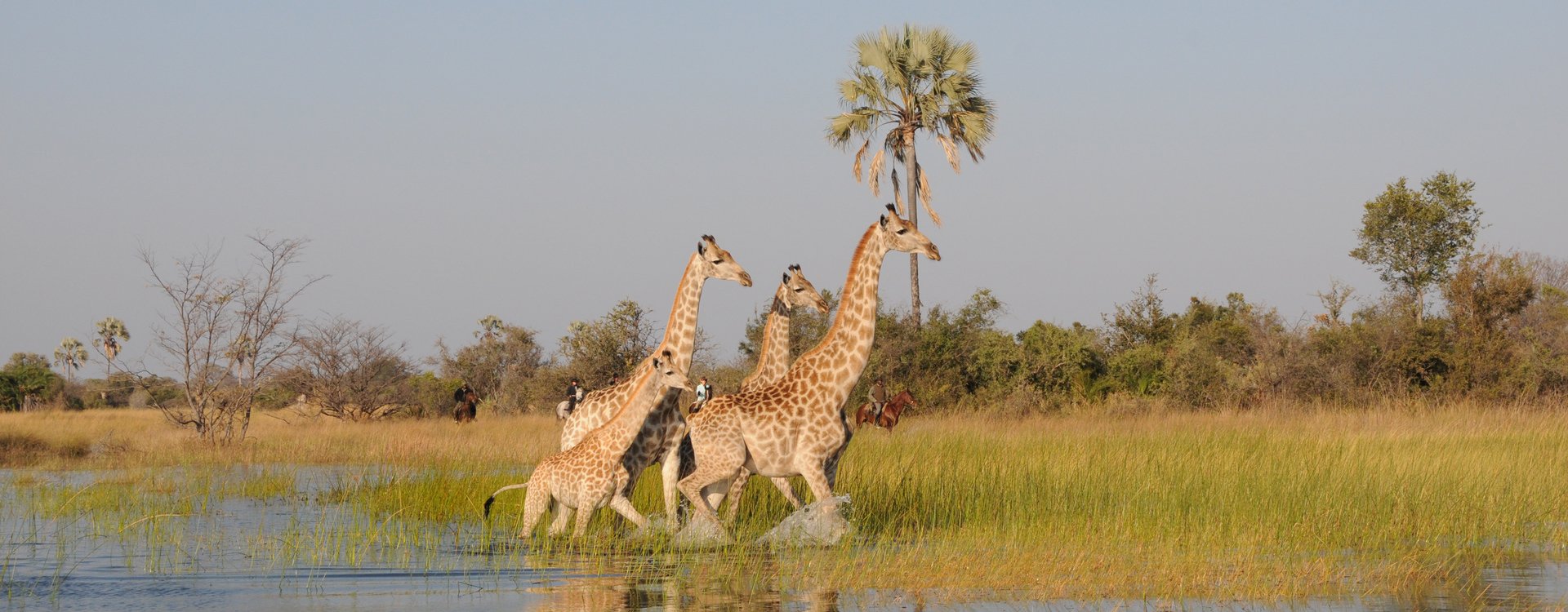 Macatoo-Camp_African-Horseback-Riding