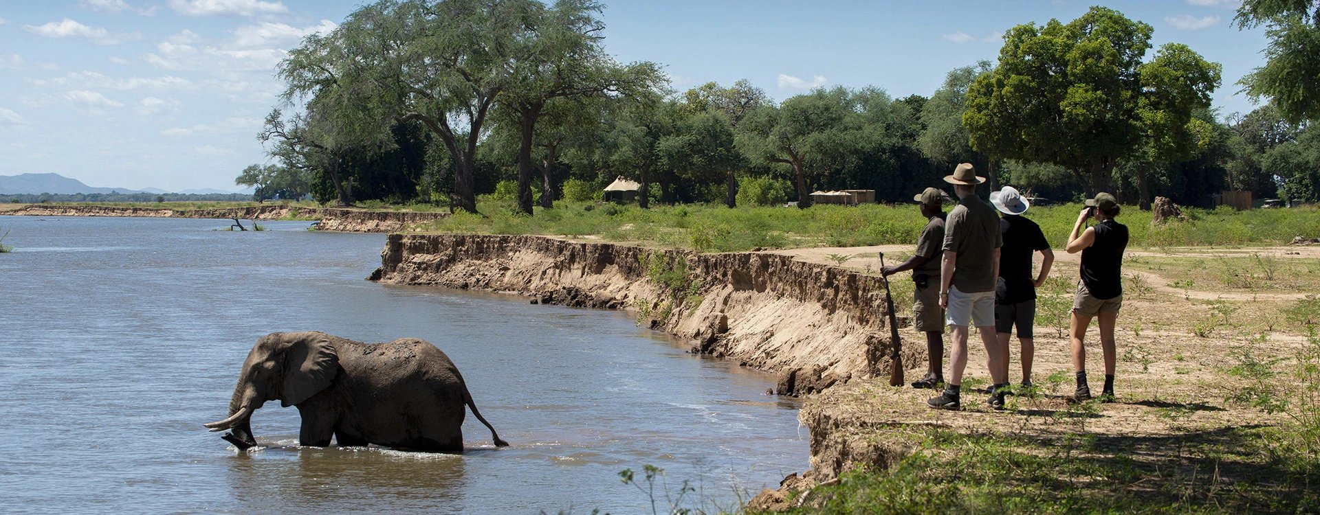 Nyamatusi Camp_Wildlife Sightseeing from the camp