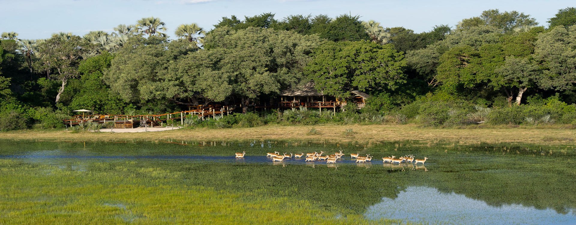 Tubu-Tree-Camp_Exterior-Camp-View