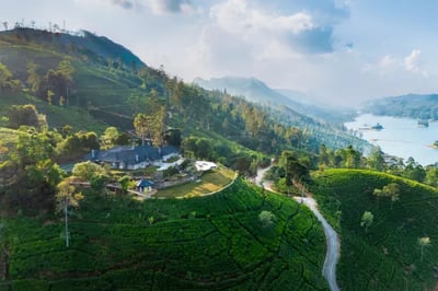 Aerial view of Uga Halloowella Sri Lanka