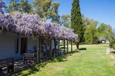 Green garden at Narbona Wine Hotel Uruguay