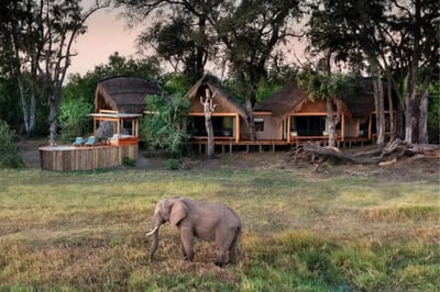 Elephants walking outside Tawana Botswana Luxury Lodge