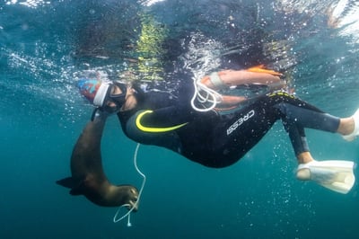 Camp Cecil de la Isla in Baja California, Mexico