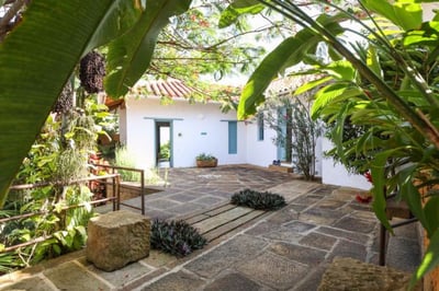Hotel terrace with palm trees