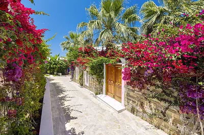 Entrance area to the Royal Spa Villa at Porto Zante, Greece