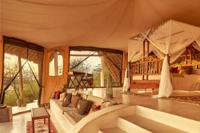 Sasaab Lodges Kenya