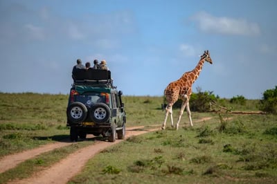 Solio Lodge Kenya