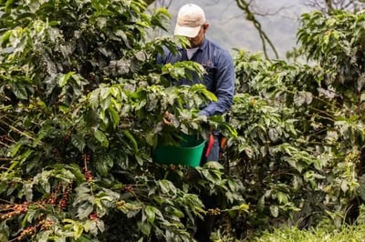 Hacienda La Sierra Colombia