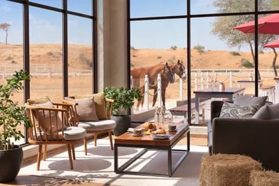 paddock cafe at Ritz Carlton Ras Al Khaimah Al Wadi