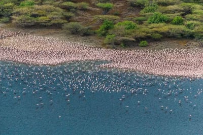 helicopter-views-Sasaab Lodges Kenya