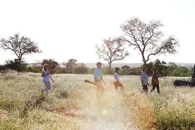 Londolozi Varty Camp