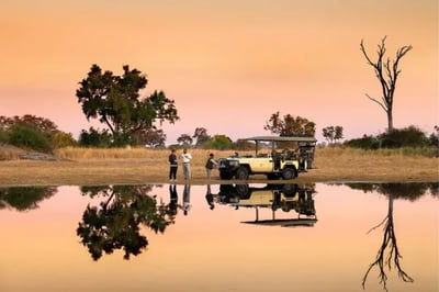 Game drive North Island Botswana Okavango Delta