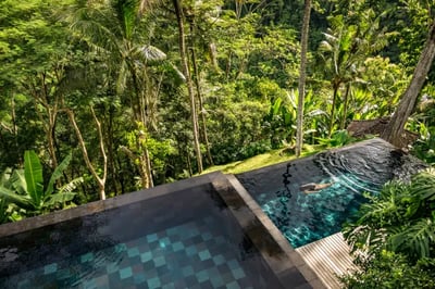 Infinity pool at COMO Uma Shambhala Estate