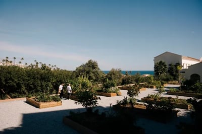 Farm garden at OKU Andaluisa
