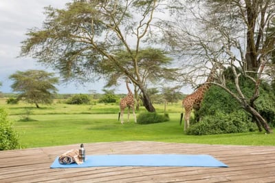 Solio Lodge Kenya