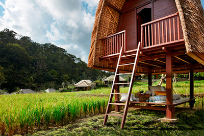 Mandapa, a Ritz-Carlton Reserve