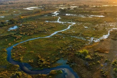 Private lodges Okavango Delta