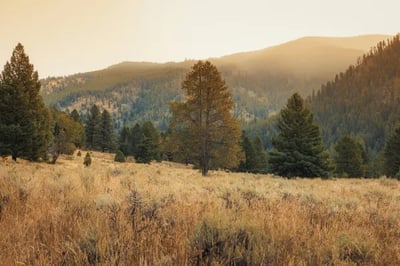 Wilderness at One & Only Moonlight Basin, Montana, USA