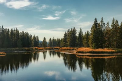 Forests and lakes at One & Only Moonlight Basin, Montana, USA