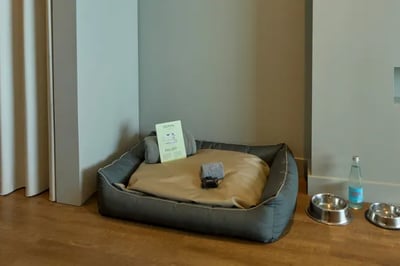 Pet friendly hotel Octant Azores Portugal