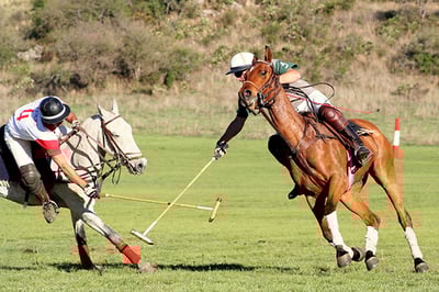 Estancia Los Potreros