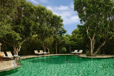 Swimming pool at Uga Chena Huts, Sri Lanka