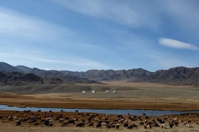 Mandala Atai Mongolia