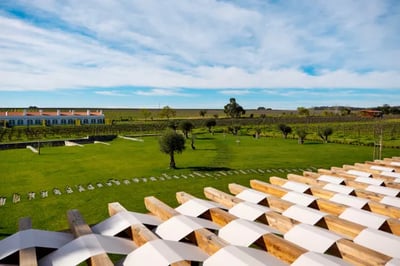 View over Quinta Do Paral's vineyard