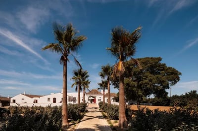 entrance to portuguese boutique hotel