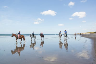The Stables activity from Rancho Santana