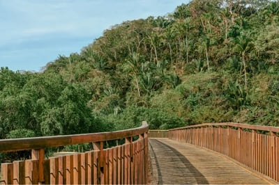 Rosewood Mandarina in Mexico